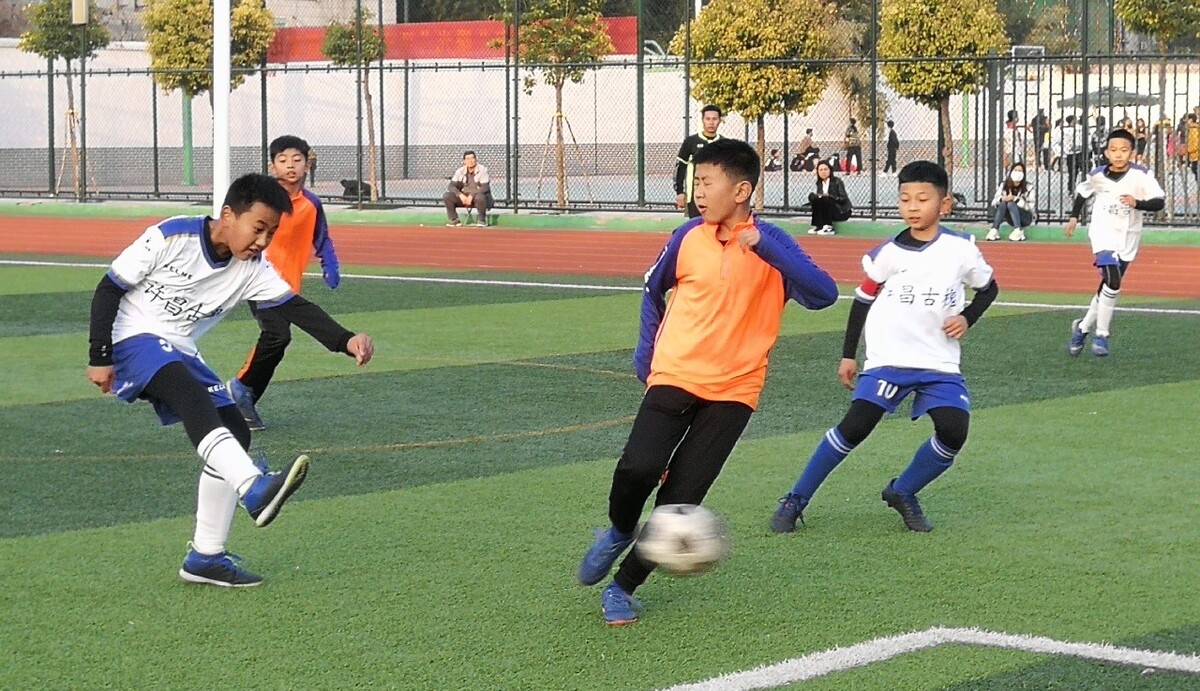 雷吉隆在采 雷吉隆在采